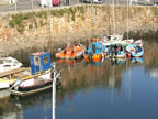 crail harbour